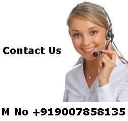 DVNA Softech Pvt Ltd Contact Us